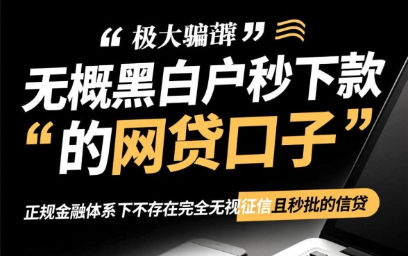 无视黑白户秒下款的网贷口子有哪些，现在还能秒下款的口子是哪个