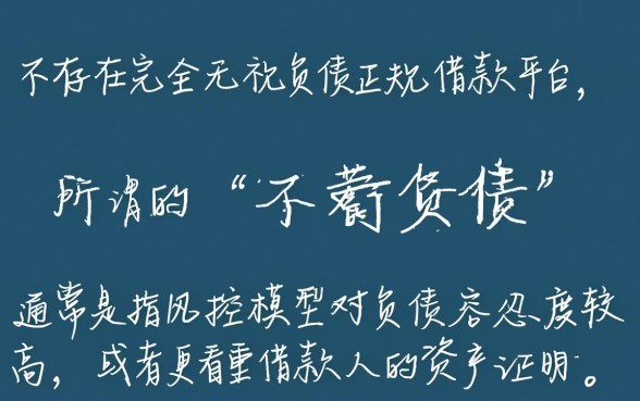 网贷有什么不看负债的借款平台，有哪些不看负债的网贷