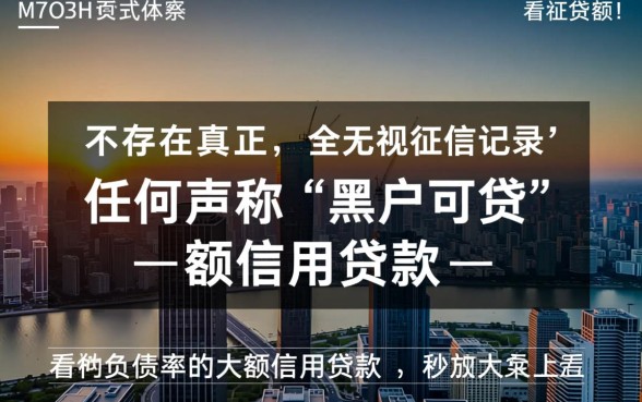 无视征信负债的大额贷款有哪些，黑户哪里可以申请下款