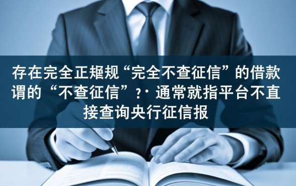 网上借款不查征信的平台有哪些，2026最新口子有哪些