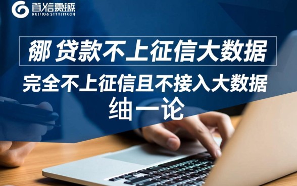 现在哪个贷款不上征信大数据的，2026不看征信网贷有哪些