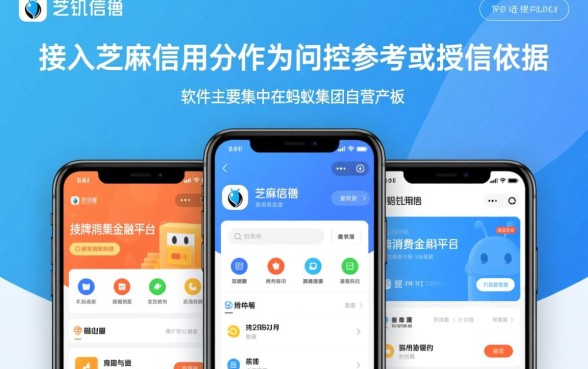 哪个可以用芝麻信用贷款的软件，芝麻信用贷款哪个正规安全