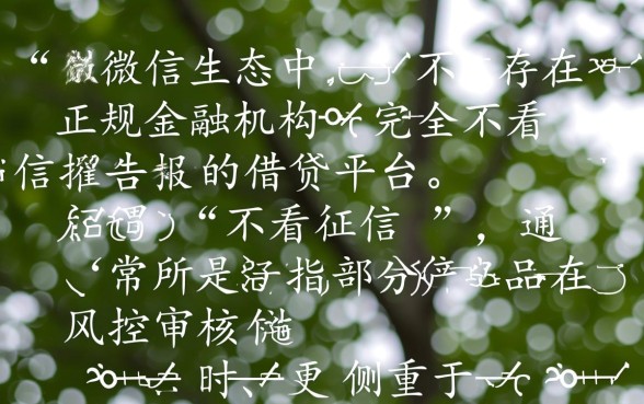 微信哪个平台借钱不看征信报告，微信借钱不看征信哪里能借