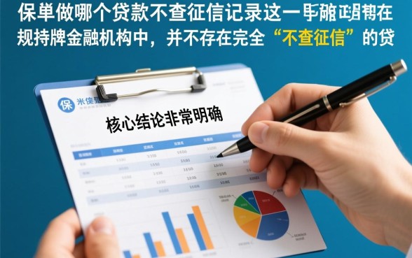 用保单做哪个贷款不查征信记录，有哪些平台可以贷