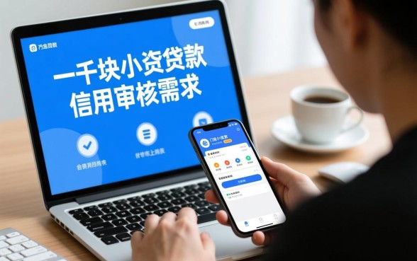 一千块小额贷款不用信用审核，哪里借不用征信？