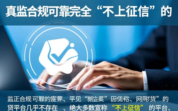 哪些网贷可靠又不上征信的平台，2026正规口子有哪些？