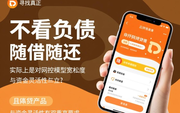 随借随还不看负债的网贷有哪些，不看负债的网贷口子推荐