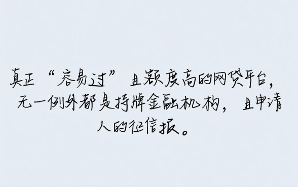 容易过的网贷平台大额有哪些，2026最新正规口子