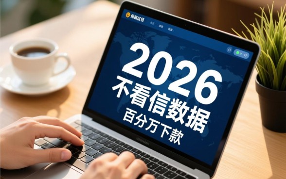 2026不看征信能百分百下款吗？征信花有哪些平台？