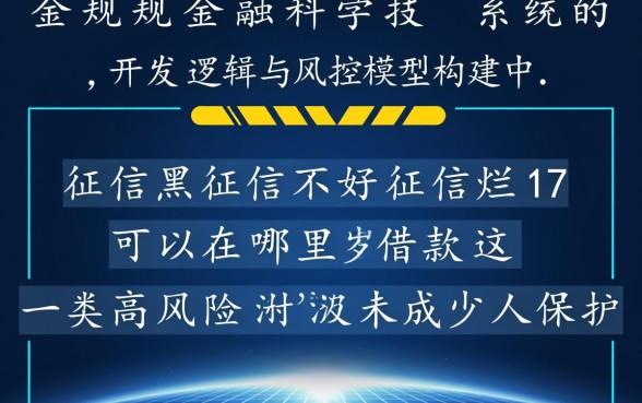 17岁征信黑可以在哪里借款，未成年征信不好能下款吗
