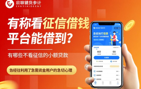 不看征信借钱平台能借到吗，有哪些不看征信的小额贷款