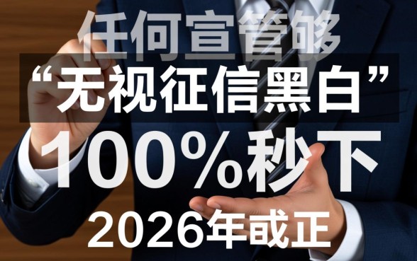 无视征信黑白户能秒下吗，2026年有哪些正规网贷口子？