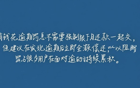 百度有钱花逾期罚息必须跟下月还款一起交嘛，可以单独还吗
