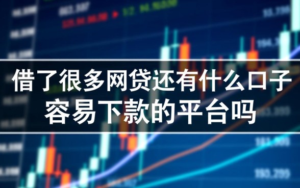 借了很多网贷还有什么口子容易下款的平台吗,借了很多还能下款吗