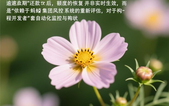 花呗逾期怎么恢复额度，还了有额度有什么方法可以用吗