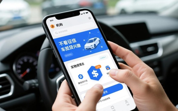 信贷机构为何会对不看征信的车抵贷感兴趣，不看征信车抵贷靠谱吗