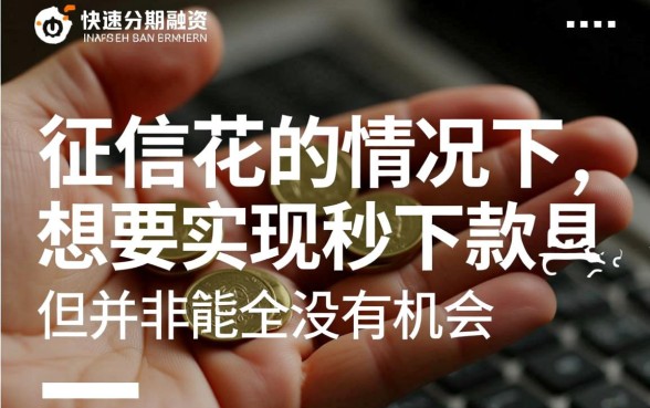 征信花求一个分期秒下款的口子，哪里可以申请容易过？