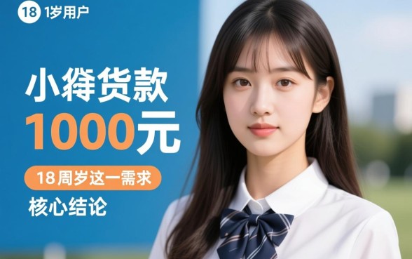 小额贷款1000元秒下款有哪些，18岁能借的口子？