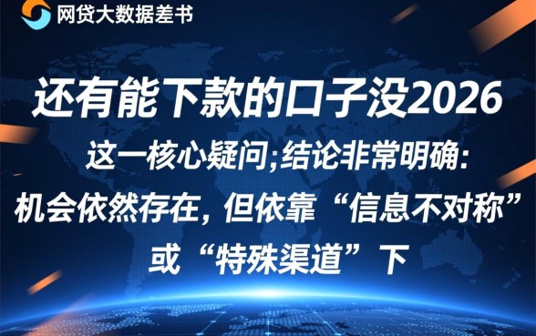 网贷大数据差还有能下款的口子没2026，哪里有不用查征信的