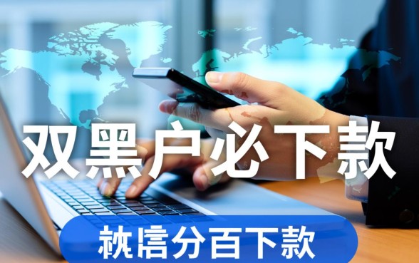 双黑户必下款的口子有吗，2026哪里能借到钱不用审核