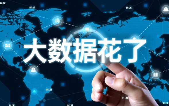 2026大数据花了能下款的口子是真的吗，大数据花了怎么申请下款