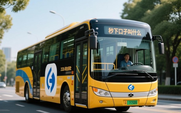 2026跟现金巴士一样的秒下口子叫什么，2026年最新秒下口子有哪些