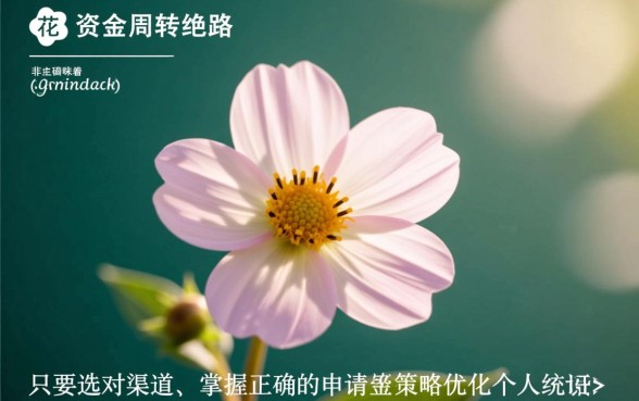 征信花也能下款的口子2026，征信花了怎么借钱？