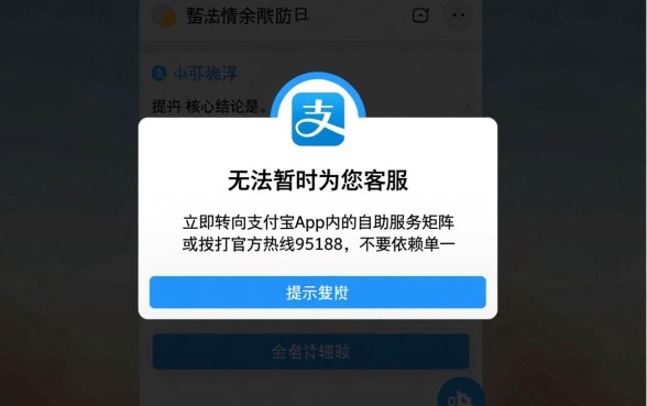 花呗无法暂时为您客服怎么解决，花呗被风控了怎么办？