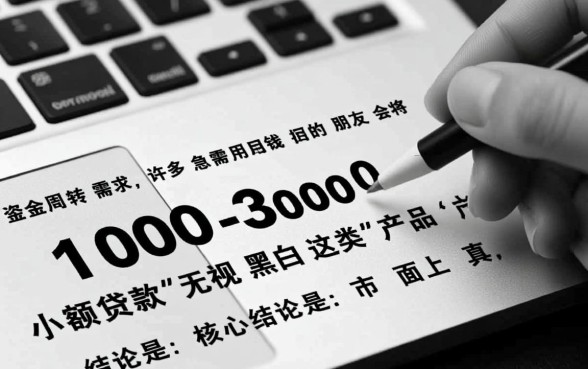 1000-3000的小额贷款无视黑白吗，哪里能借到不用审核？