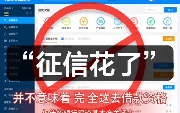 征信太花了怎么借钱，有哪些平台能下款呢？