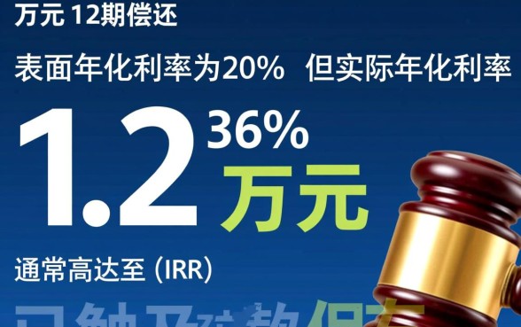 网贷借10000分12期还12000利息高吗，算不算高利贷