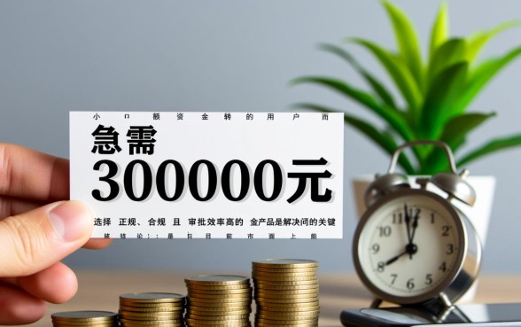小额借款3000马上到账的平台有哪些，哪个平台下款快