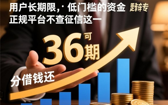 不查征信的正规平台有哪些？借钱可以分36期还吗？