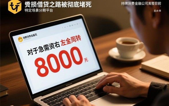 征信花了在哪个平台能贷到款8000多，哪里能借？