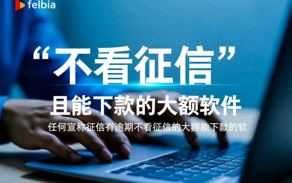 征信有逾期不看征信大额能下款吗？征信花了怎么借？