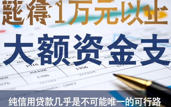 黑户什么平台能贷款10万以上，黑户怎么借大额？