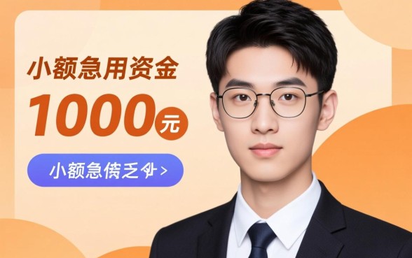 小额贷款1000元秒下款有哪些，18岁能借的正规口子