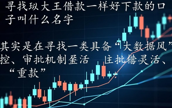 跟大王借款一样好下款的口子叫什么名字，有哪些秒下款的口子