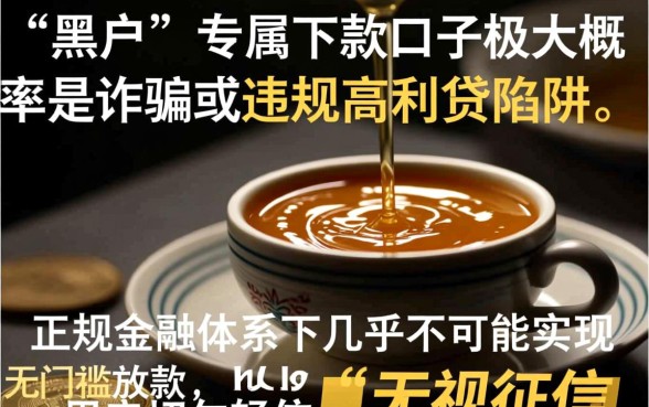 2026黑户能下款的口子真的能下款吗，2026黑户哪里可以借到钱