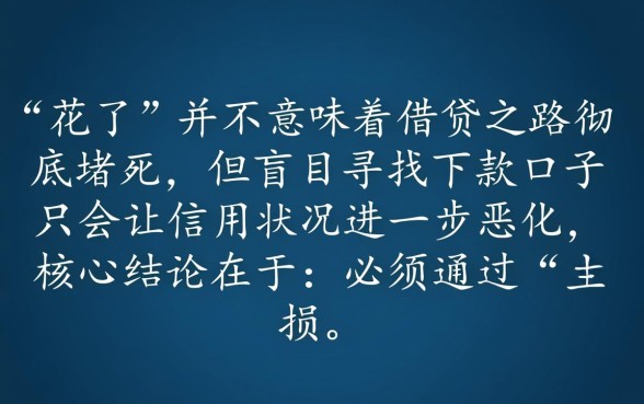 征信花大数据花了能下款吗，2026年有哪些借钱口子