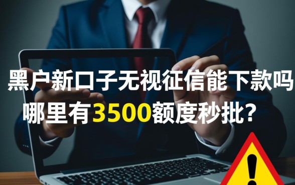 黑户新口子无视征信能下款吗，哪里有3500额度秒批？