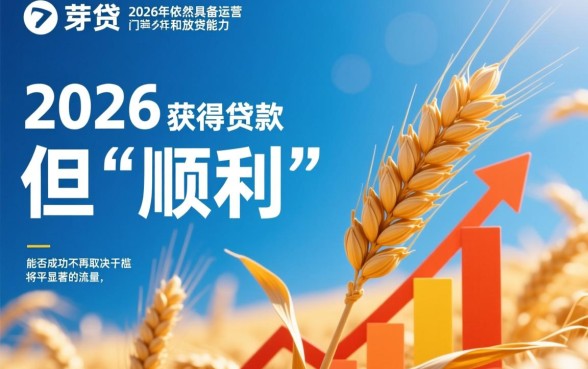麦芽贷2026年还能顺利获得贷款吗，审核通过率高吗？