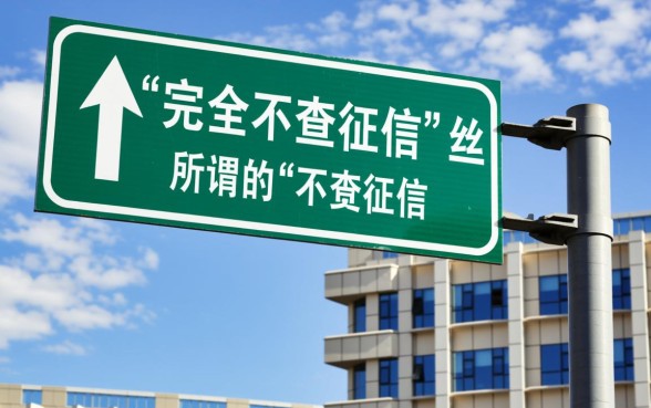 市面上有哪些不查征信就能借钱的平台，2026不查征信贷款有哪些