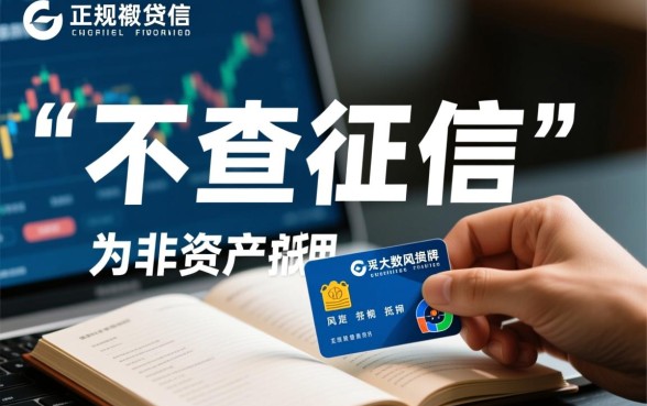 不查征信的正规贷款申请流程是怎样的，需要什么条件？