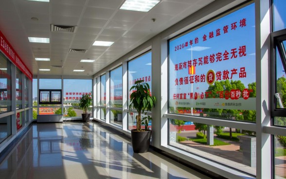 2026无视负债和征信的贷款有哪些，真的能下款吗？