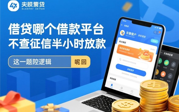 哪个借款平台不查征信半小时放款的呢，靠谱吗