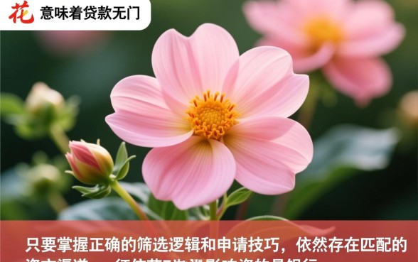 征信花也能下款的口子有哪些，征信花怎么贷款必下款