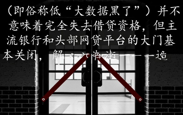 大数据黑了怎么下款，有哪些网贷平台可以借钱