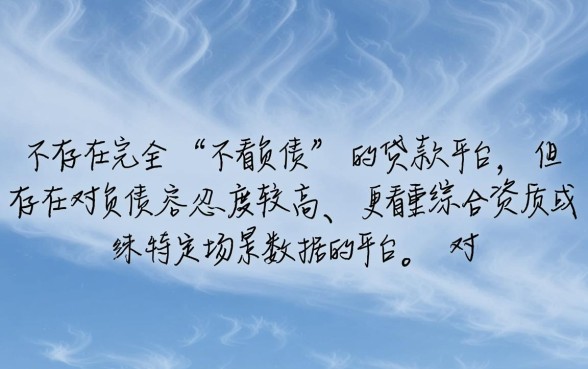 有什么网贷不看负债易通过的贷款平台，负债高怎么下款？