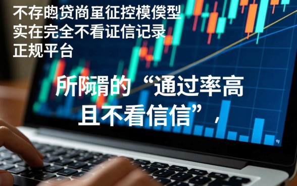 哪个平台借款通过率高？不看征信记录的口子有哪些？